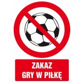 327049-353968-znaktdczakazgrywpilke-800w.jpg